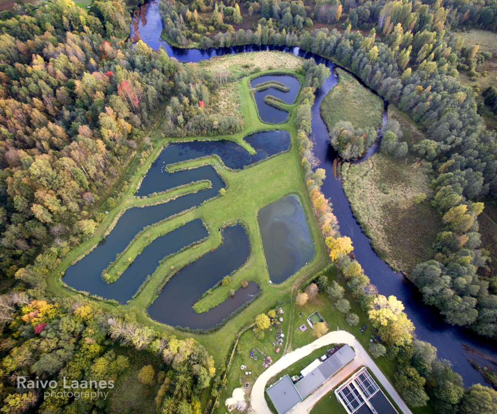 Põltsamaa veepuhastusjaam