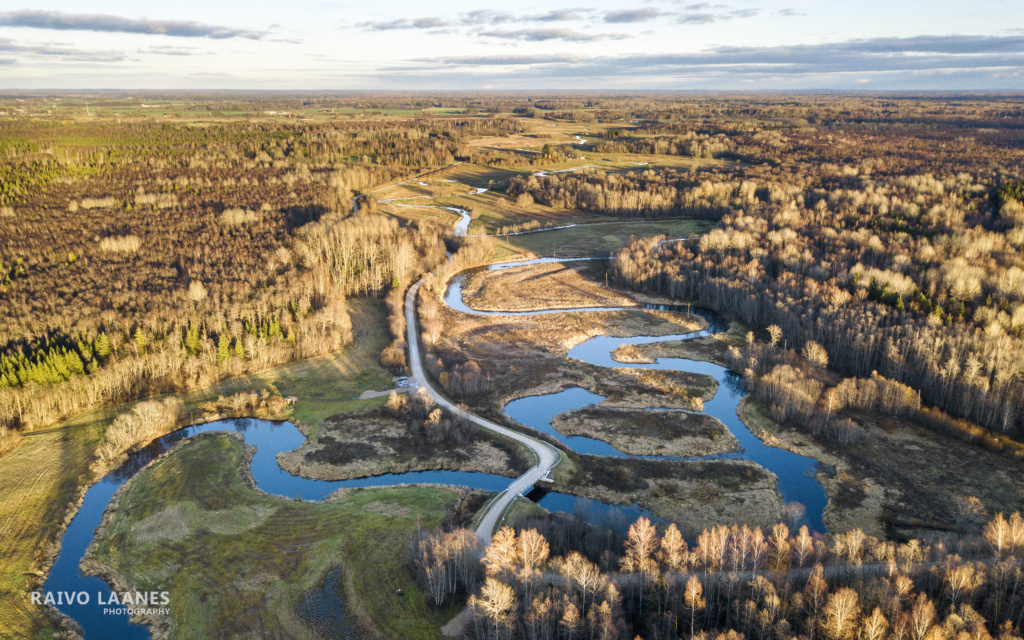 Alam-Pedja looduskaitseala