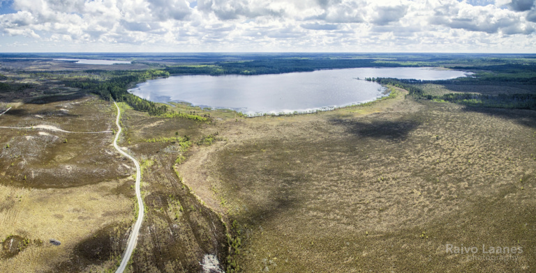 Veskijärv